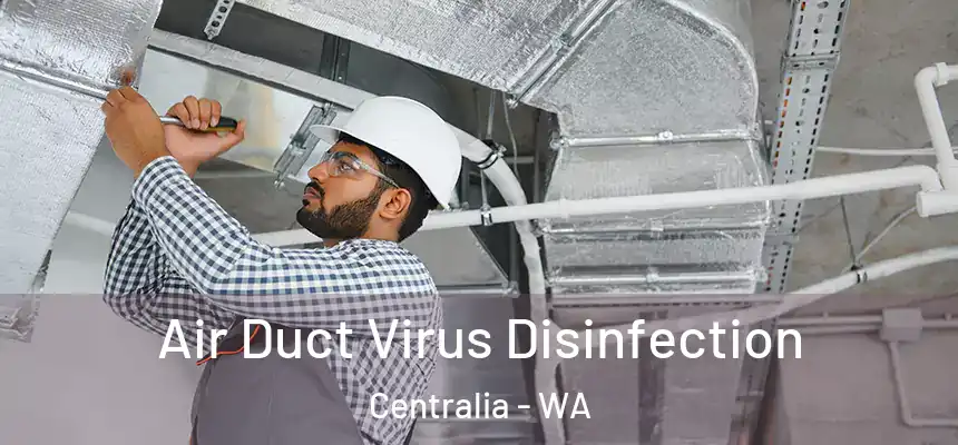  Air Duct Virus Disinfection Centralia - WA