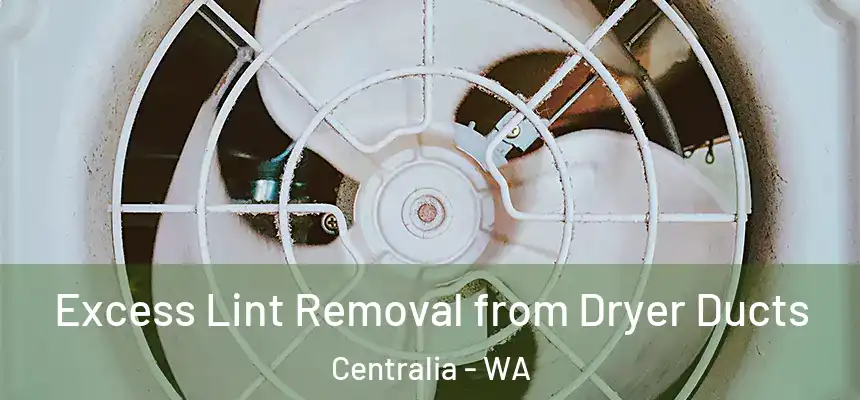  Excess Lint Removal from Dryer Ducts Centralia - WA