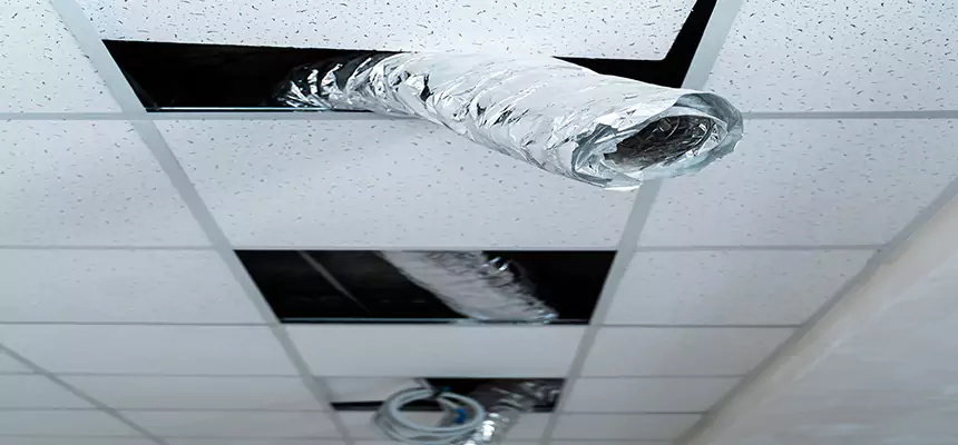 Our Air Duct Pet Hair Removal Services in Centralia, WA