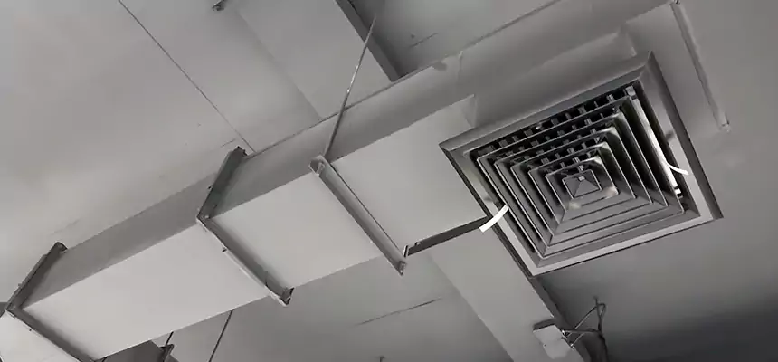 Our Rodent Droppings In Vents Services in Centralia, WA