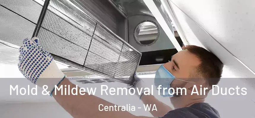  Mold & Mildew Removal from Air Ducts Centralia - WA