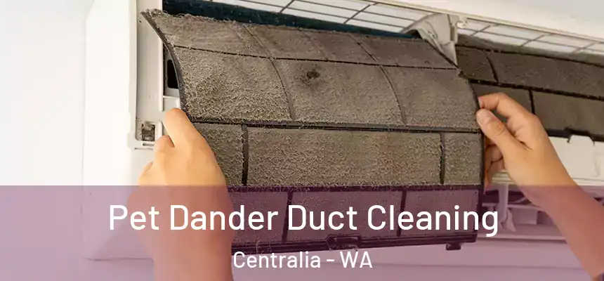  Pet Dander Duct Cleaning Centralia - WA