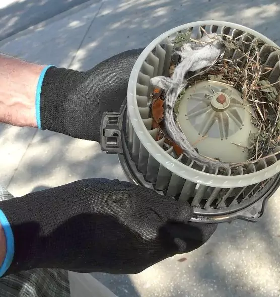 About Air Duct Rat Removal in Centralia, WA