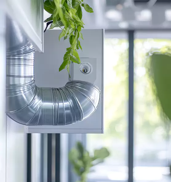 Professional Eco-Friendly Duct Cleaning Services in Centralia, WA