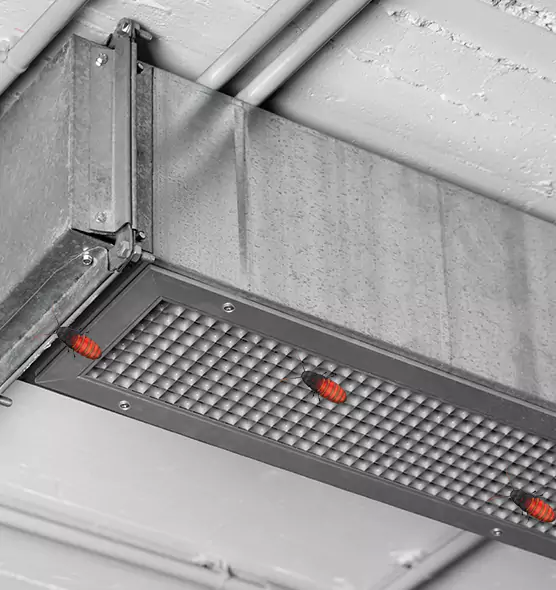 Affordable Insect Removal from Air Ducts in Centralia, WA
