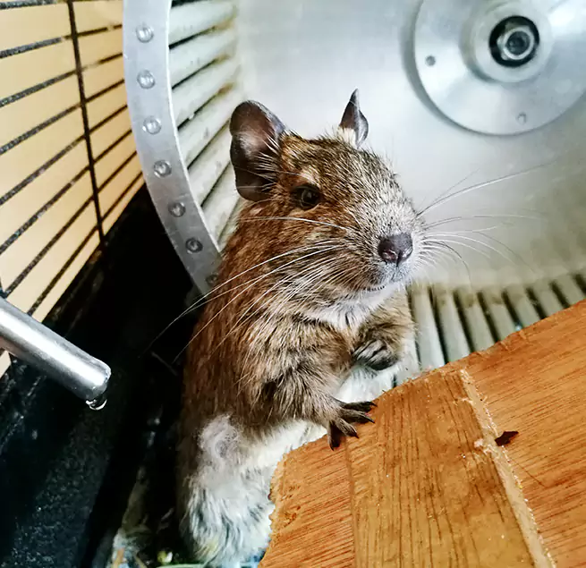 Why Homeowners & Businesses Trust Us Centralia, WA