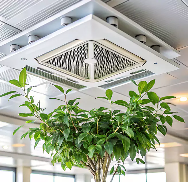 Why Homeowners & Businesses Trust Us in Centralia, WA