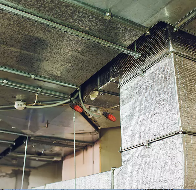 Why Homeowners & Businesses Trust Us Centralia, WA?